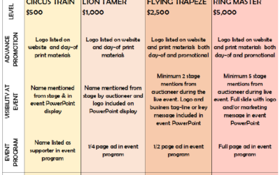 2020 Hayhurst Auction Sponsorship